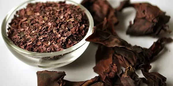 Dulse - Top 5 Scottish Wild Foods