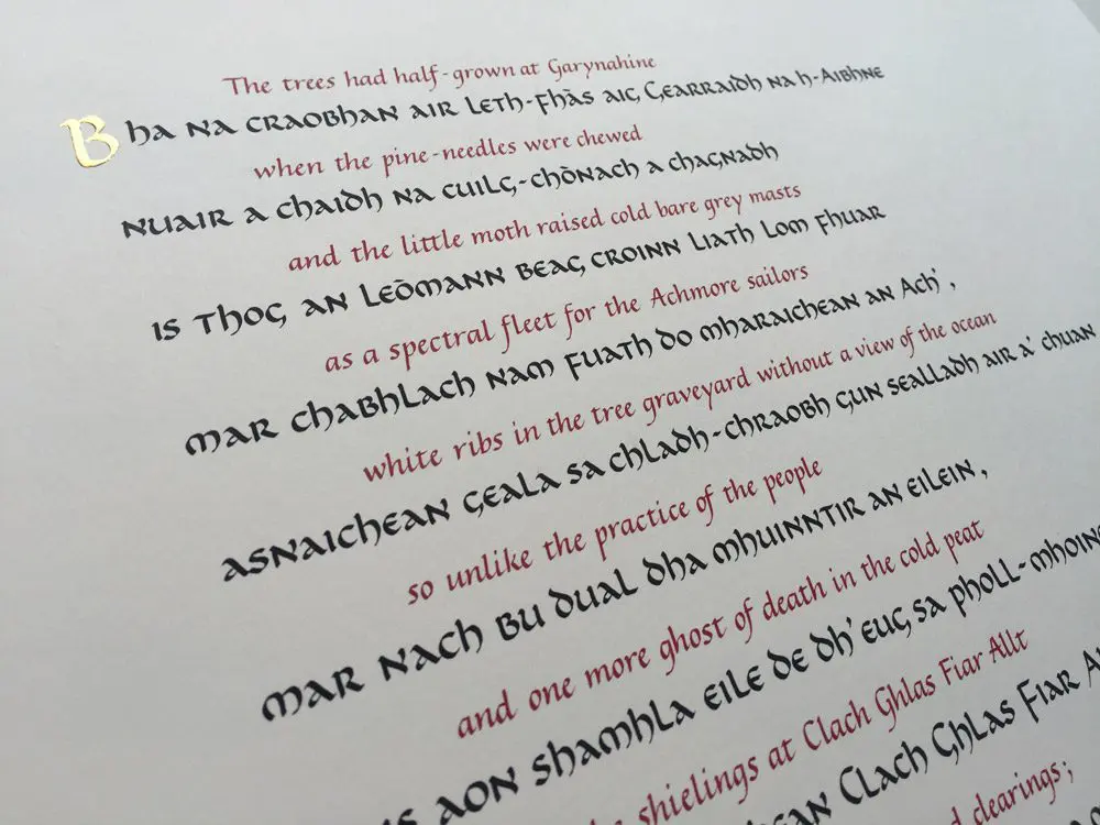 482213223_1040571864767505_2441490774284994013_n