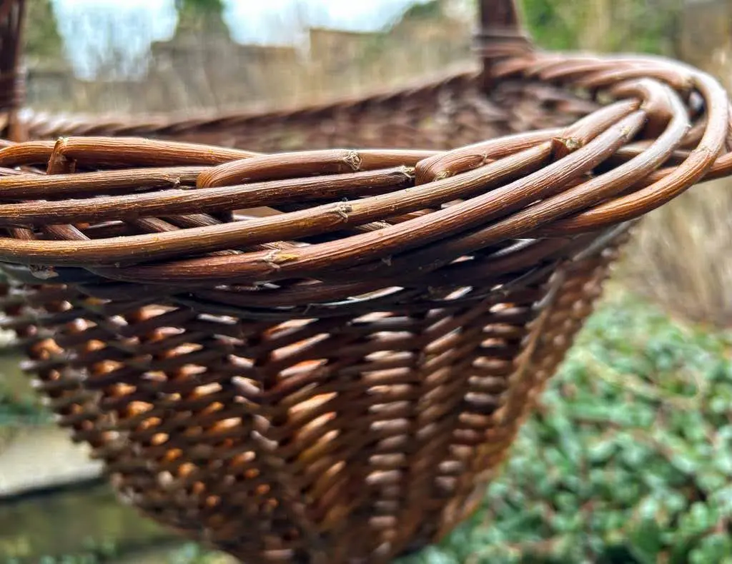 IMG-20221231-WA0005~2